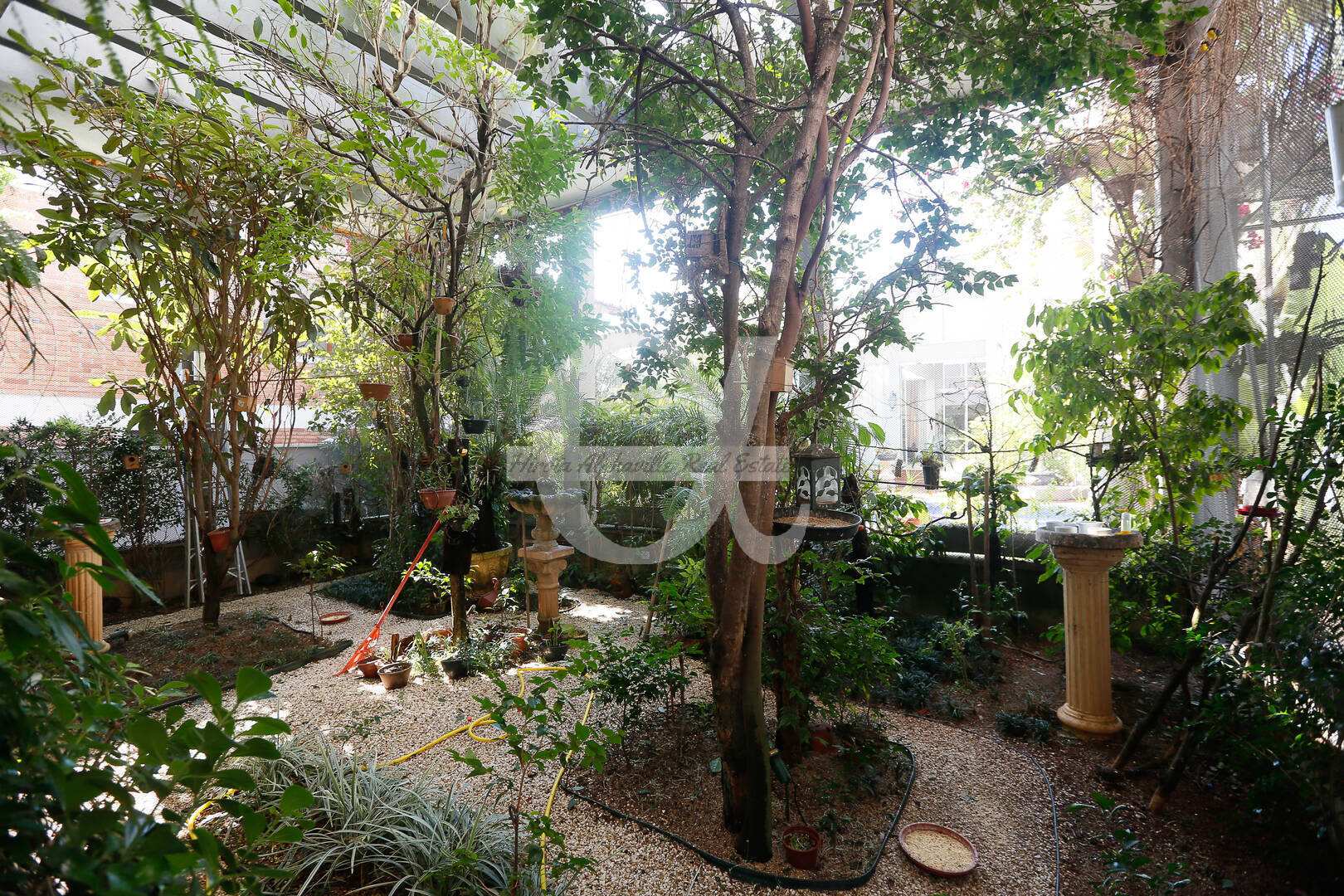 Casa, 4 quartos, 650 m² - Foto 4