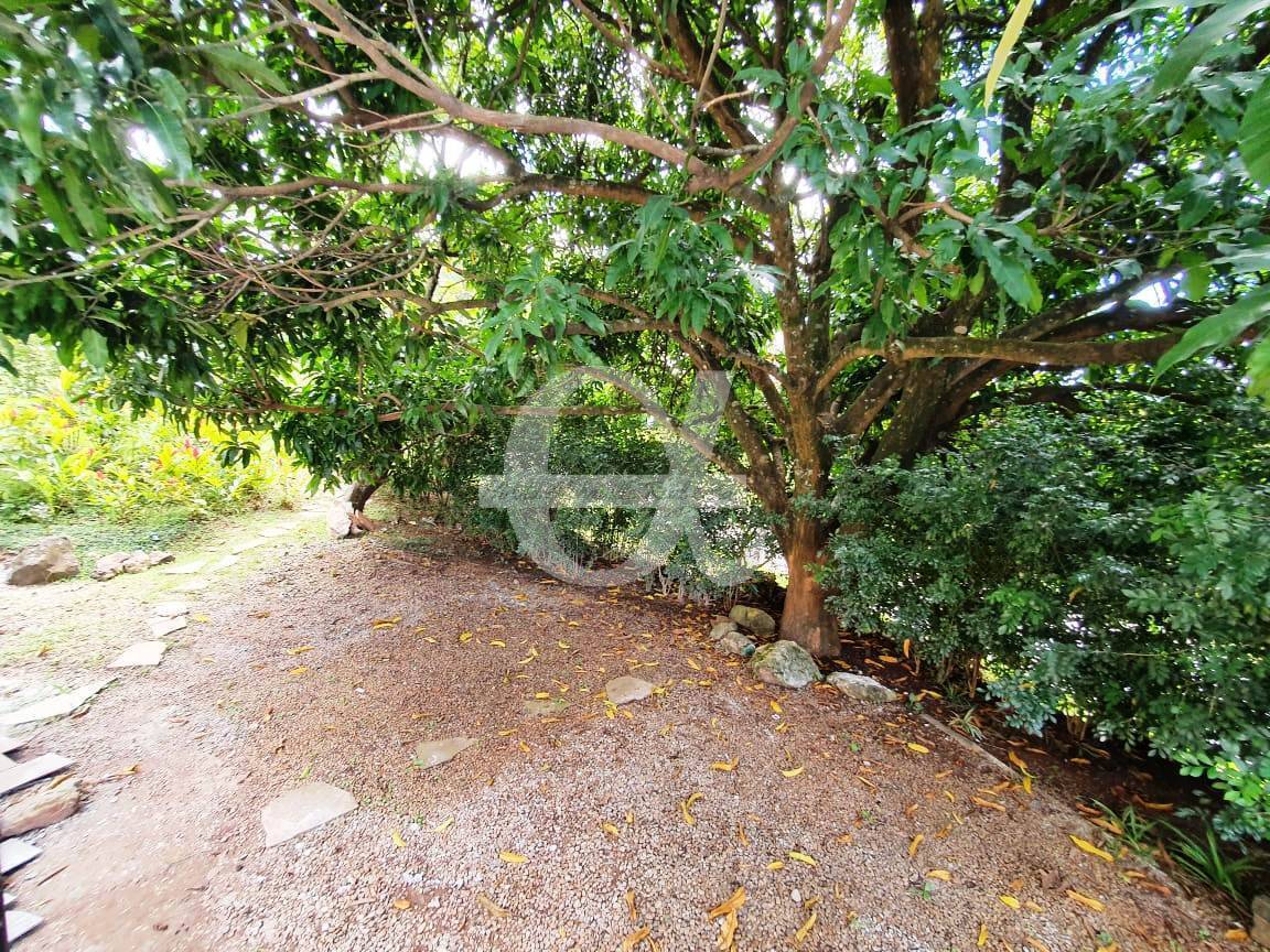 Casa, 4 quartos, 500 m² - Foto 16