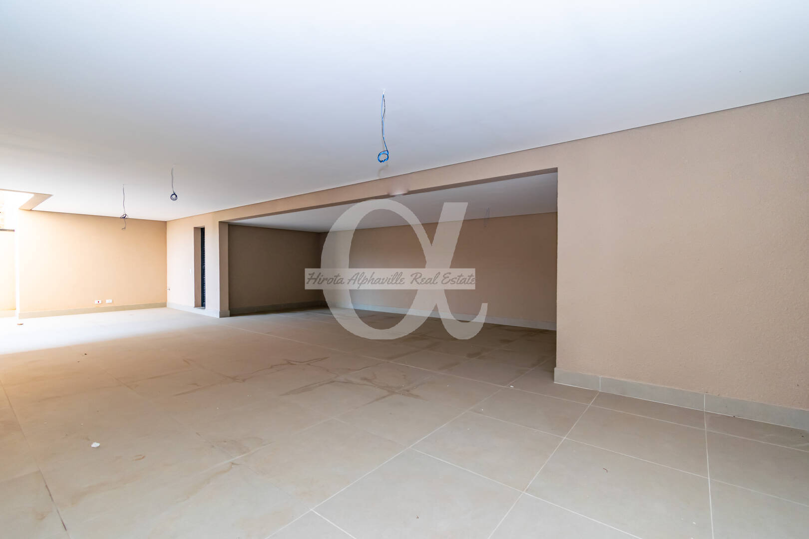 Casa, 5 quartos, 501 m² - Foto 33