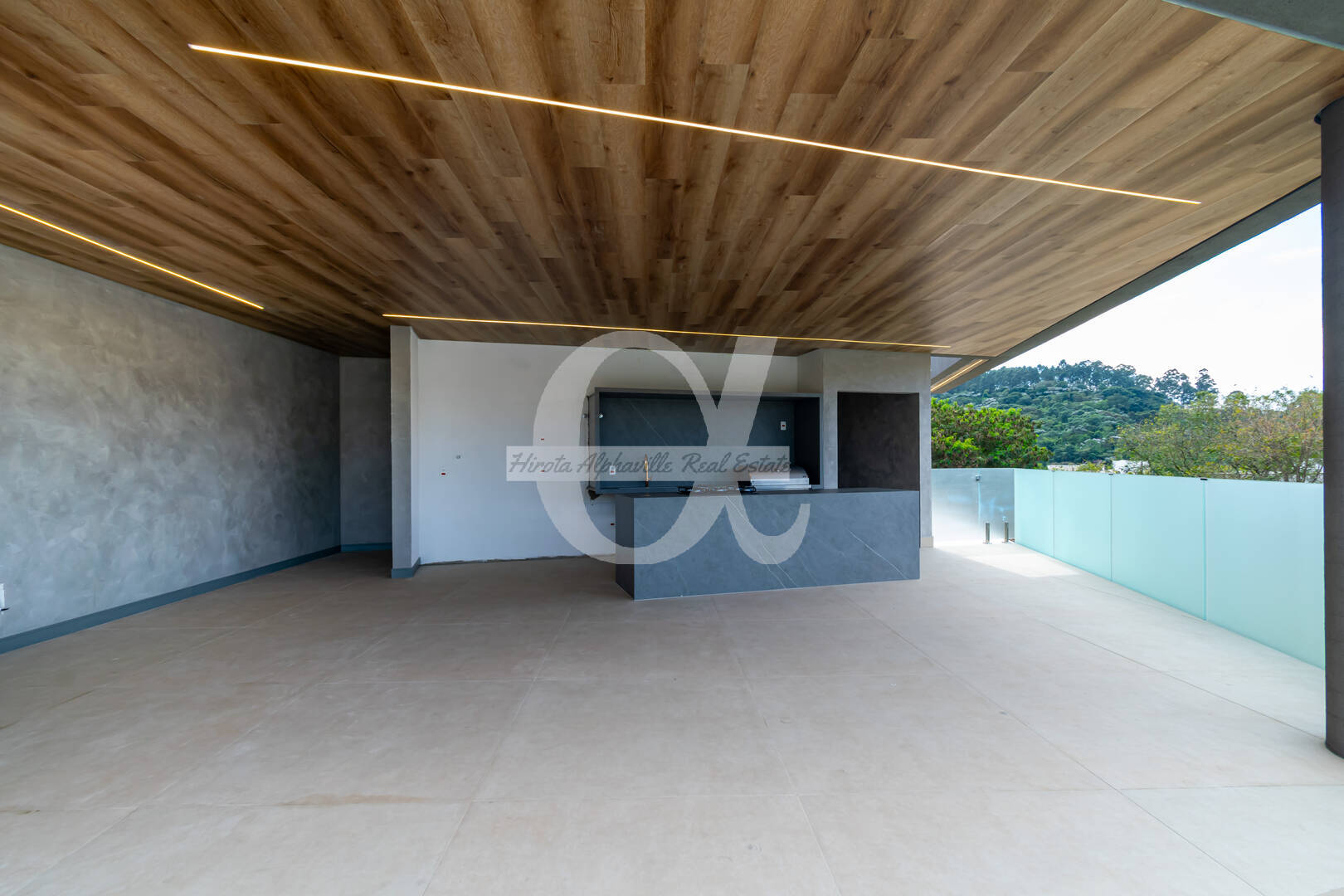 Casa, 4 quartos, 563 m² - Foto 13