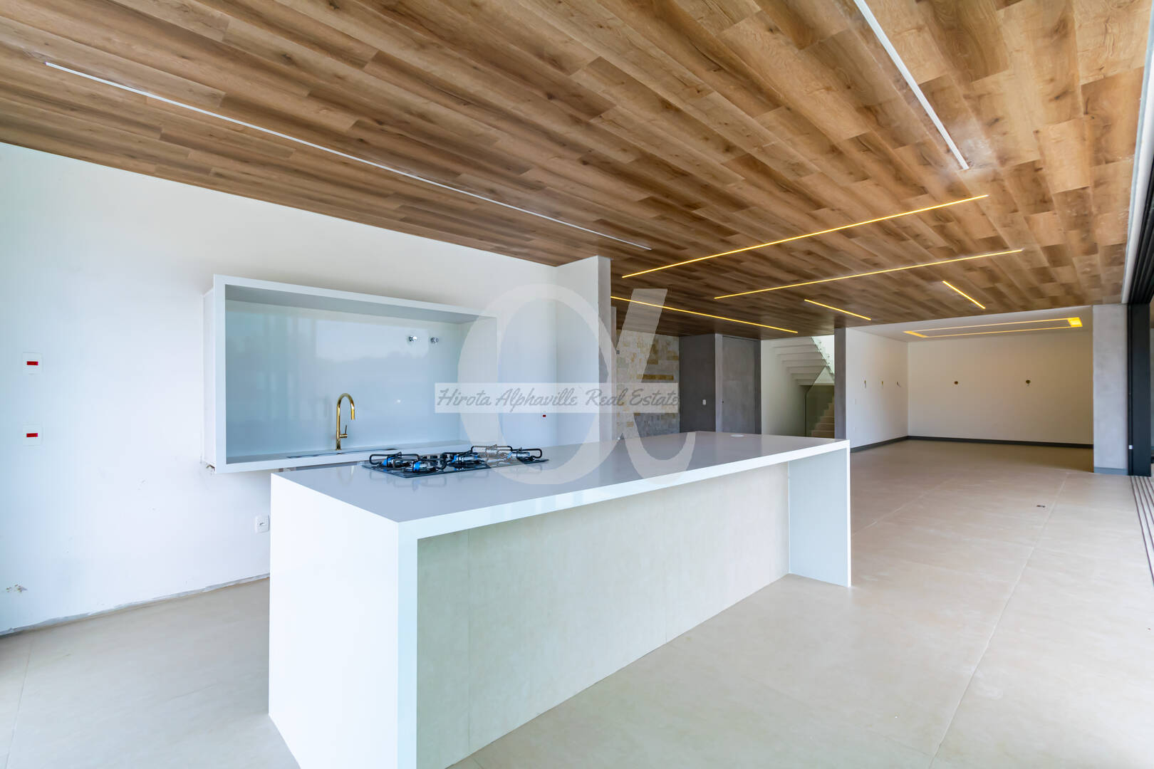Casa, 4 quartos, 563 m² - Foto 18