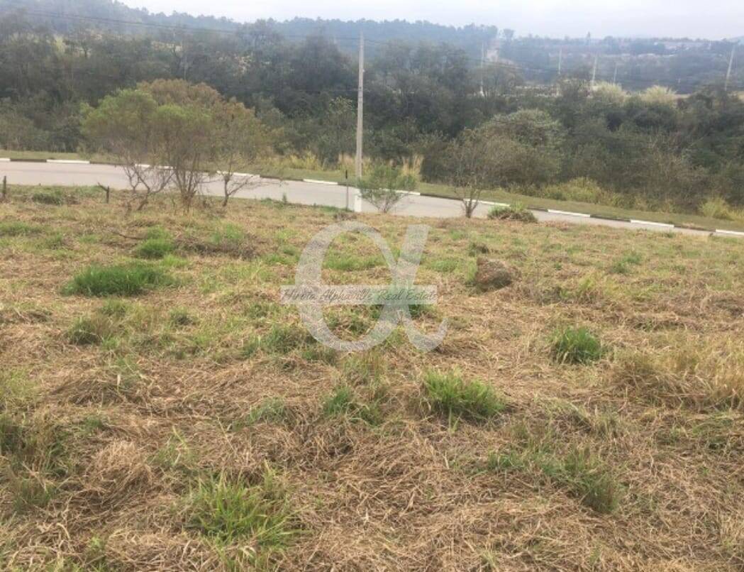 Terreno, 750 m² - Foto 7