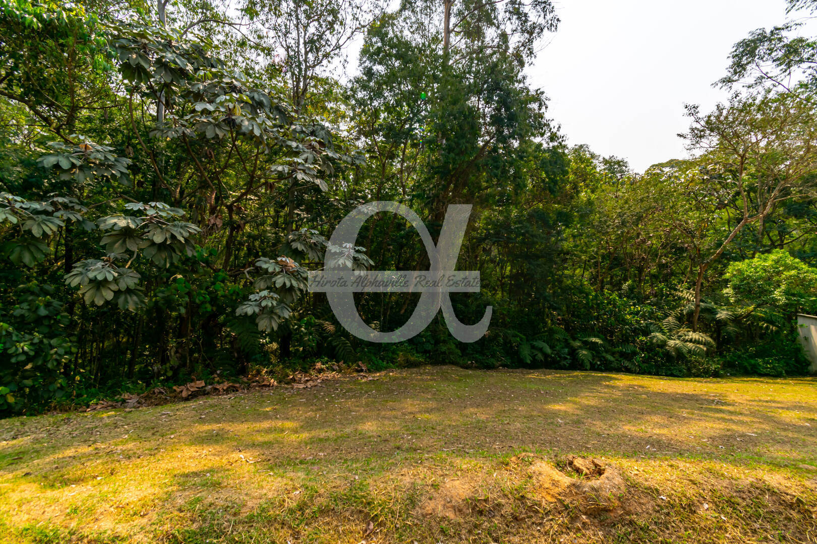 Terreno, 865 m² - Foto 8