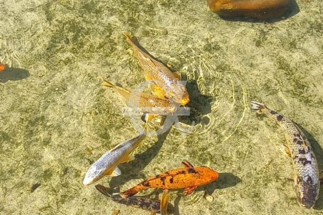 Terreno, 360 m² - Foto 9