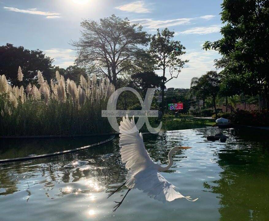 Terreno, 360 m² - Foto 10