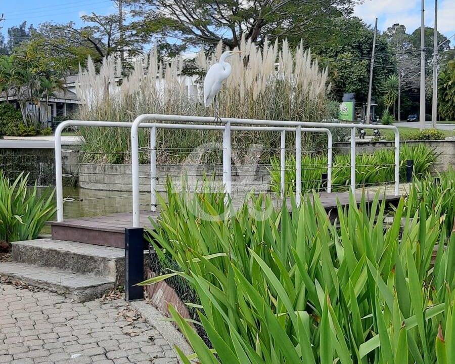 Terreno, 360 m² - Foto 12